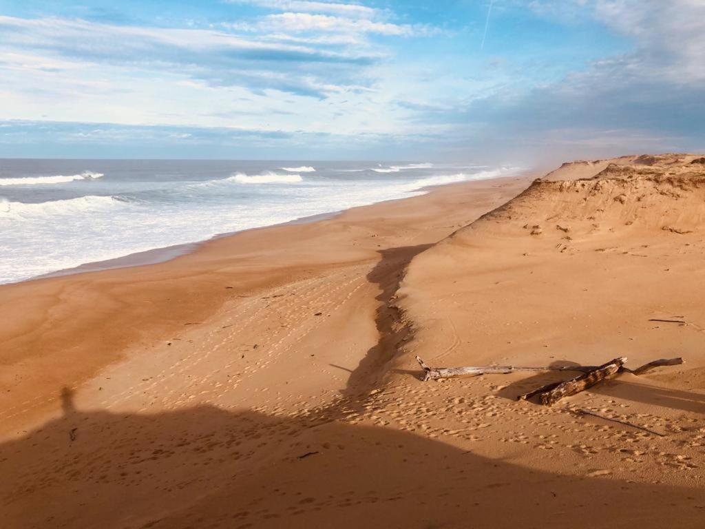 Joli Appartement A 300 M De La Plage Labenne Zewnętrze zdjęcie